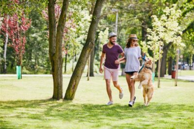 Parks in Fenton, MO